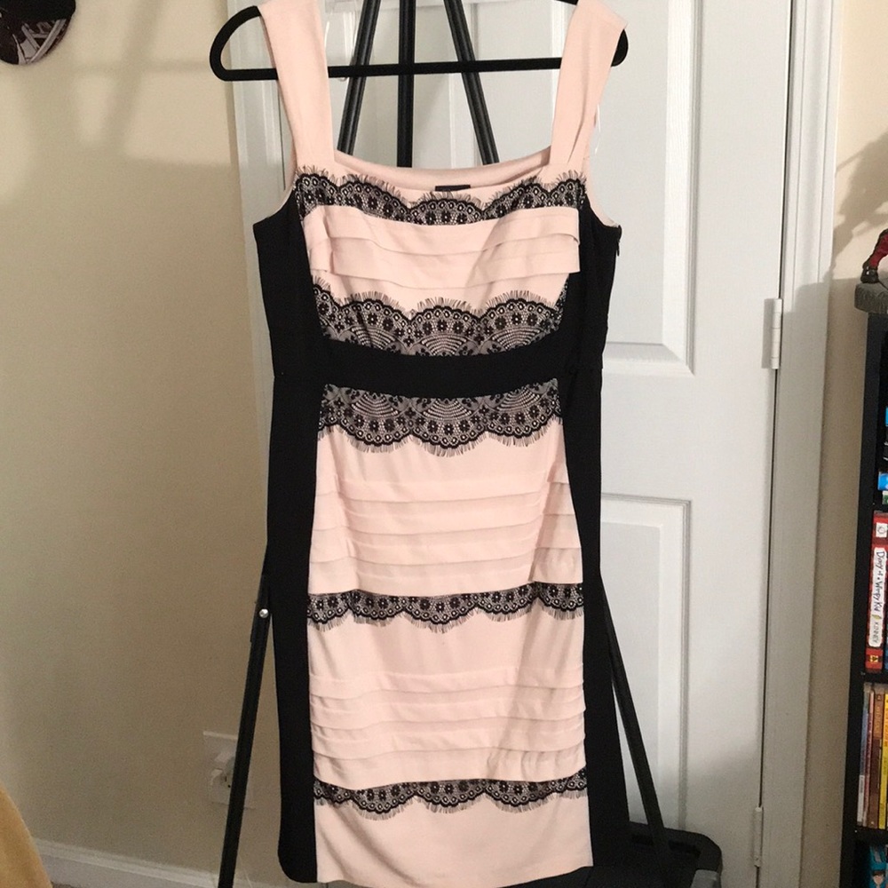 Jax Pink and Black Lace Bodycon Dress